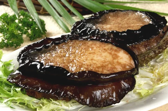 Australian Abalone