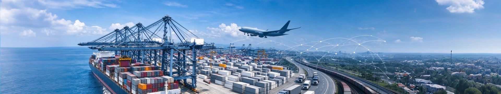 Services - Trans Elite Supply Chain Management Co., Ltd.