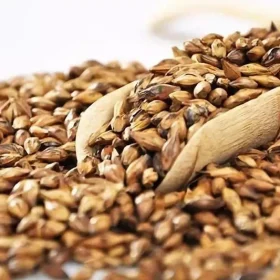 Brewing Malt