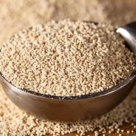 Brewing Yeast