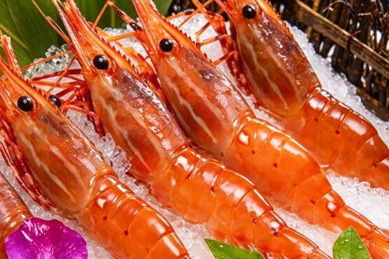 Canadian Spot Prawn