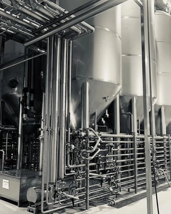 Customized Beer Fermentation System
