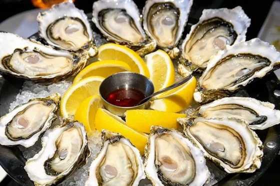 Irish & Dutch Oysters